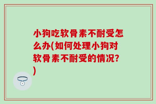小狗吃软骨素不耐受怎么办(如何处理小狗对软骨素不耐受的情况？)