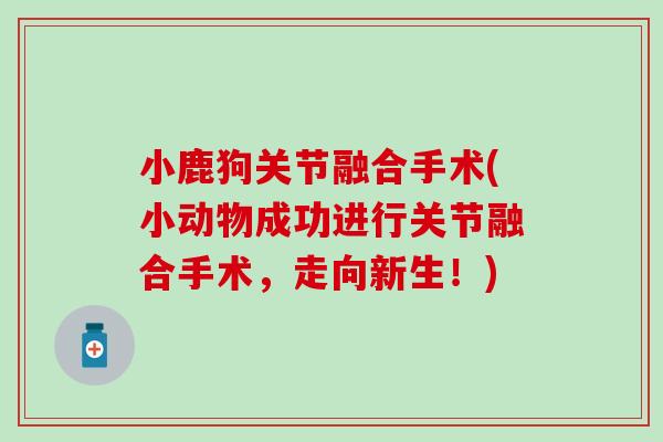 小鹿狗关节融合手术(小动物成功进行关节融合手术，走向新生！)