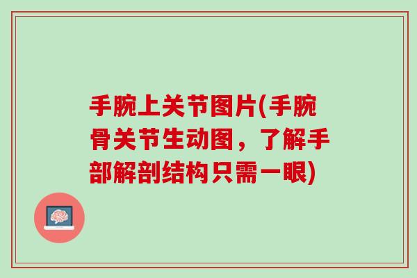 手腕上关节图片(手腕骨关节生动图，了解手部解剖结构只需一眼)