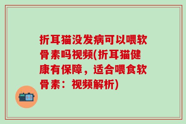 折耳猫没发病可以喂软骨素吗视频(折耳猫健康有保障，适合喂食软骨素：视频解析)