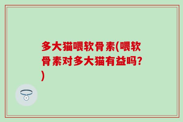 多大猫喂软骨素(喂软骨素对多大猫有益吗？)