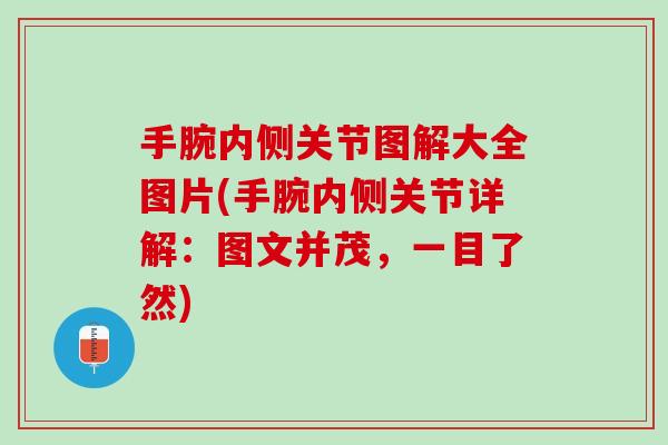 手腕内侧关节图解大全图片(手腕内侧关节详解：图文并茂，一目了然)