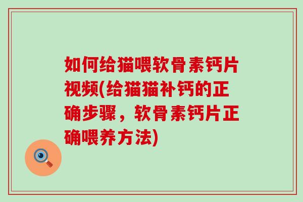 如何给猫喂软骨素钙片视频(给猫猫补钙的正确步骤，软骨素钙片正确喂养方法)