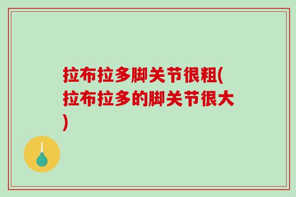 拉布拉多脚关节很粗(拉布拉多的脚关节很大)