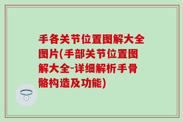 手各关节位置图解大全图片(手部关节位置图解大全-详细解析手骨骼构造及功能)