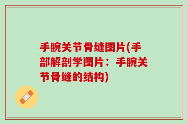 手腕关节骨缝图片(手部解剖学图片:手腕关节骨缝的结构) 手腕关节骨缝图片(手部解剖学图片:手腕关节骨缝的结构)