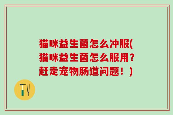 猫咪益生菌怎么冲服(猫咪益生菌怎么服用？赶走宠物肠道问题！)