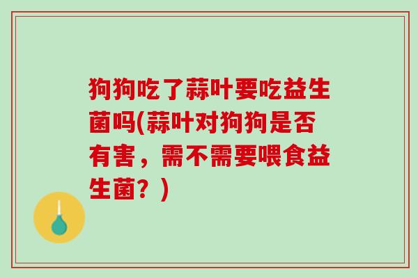狗狗吃了蒜叶要吃益生菌吗(蒜叶对狗狗是否有害，需不需要喂食益生菌？)