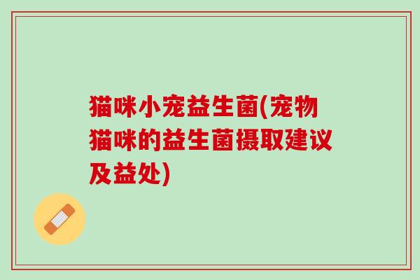 猫咪小宠益生菌(宠物猫咪的益生菌摄取建议及益处)