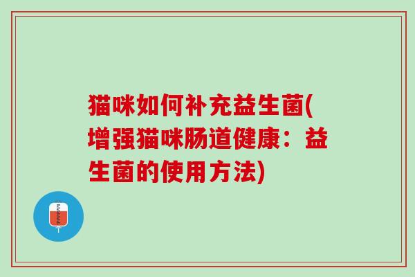 猫咪如何补充益生菌(增强猫咪肠道健康：益生菌的使用方法)