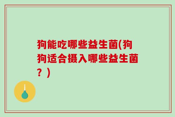 狗能吃哪些益生菌(狗狗适合摄入哪些益生菌？)