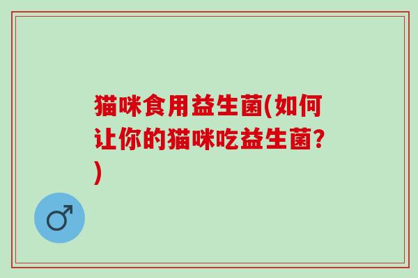 猫咪食用益生菌(如何让你的猫咪吃益生菌？)