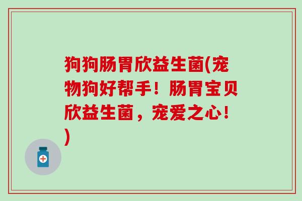 狗狗肠胃欣益生菌(宠物狗好帮手！肠胃宝贝欣益生菌，宠爱之心！)
