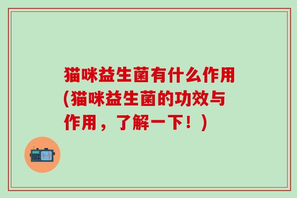 猫咪益生菌有什么作用(猫咪益生菌的功效与作用，了解一下！)