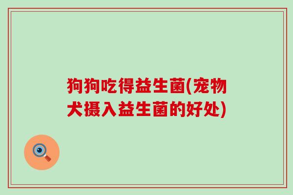 狗狗吃得益生菌(宠物犬摄入益生菌的好处)
