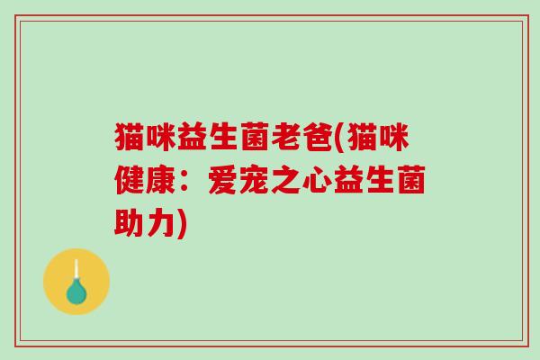 猫咪益生菌老爸(猫咪健康：爱宠之心益生菌助力)