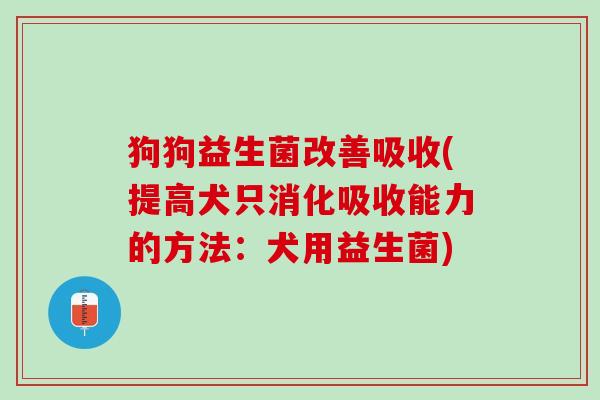 狗狗益生菌改善吸收(提高犬只消化吸收能力的方法：犬用益生菌)
