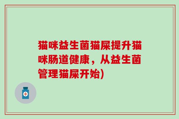 猫咪益生菌猫屎提升猫咪肠道健康，从益生菌管理猫屎开始)