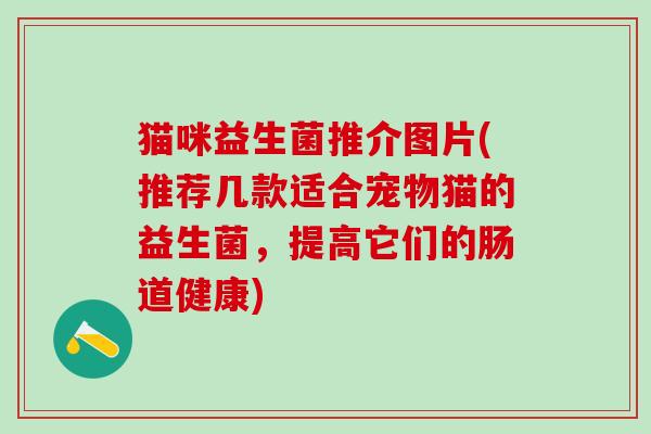 猫咪益生菌推介图片(推荐几款适合宠物猫的益生菌，提高它们的肠道健康)