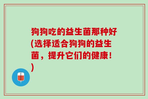 狗狗吃的益生菌那种好(选择适合狗狗的益生菌，提升它们的健康！)