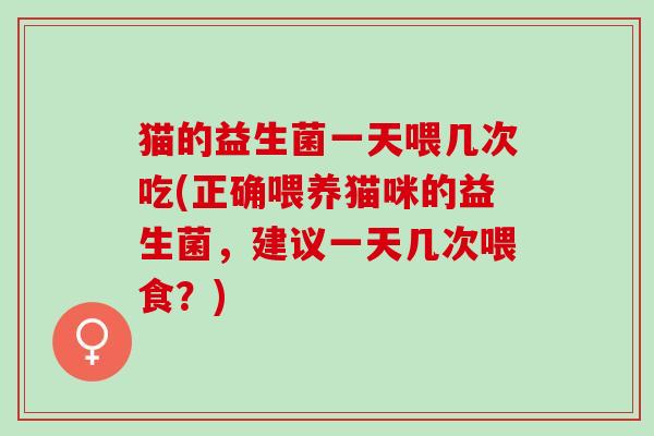 猫的益生菌一天喂几次吃(正确喂养猫咪的益生菌，建议一天几次喂食？)