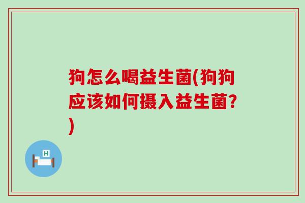 狗怎么喝益生菌(狗狗应该如何摄入益生菌？)