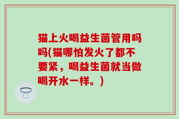 猫上火喝益生菌管用吗吗(猫哪怕发火了都不要紧，喝益生菌就当做喝开水一样。)
