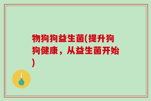 物狗狗益生菌(提升狗狗健康，从益生菌开始)