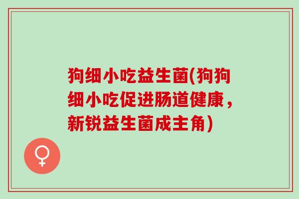 狗细小吃益生菌(狗狗细小吃促进肠道健康，新锐益生菌成主角)