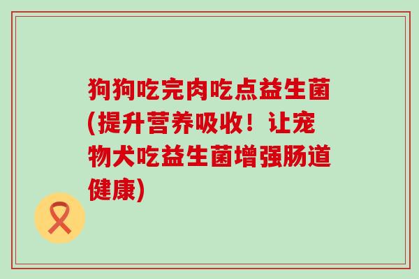 狗狗吃完肉吃点益生菌(提升营养吸收！让宠物犬吃益生菌增强肠道健康)