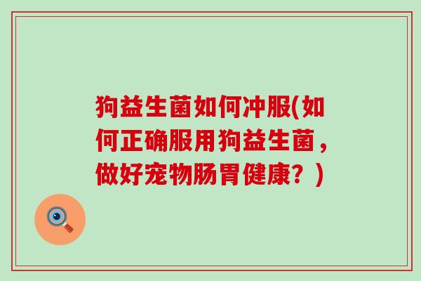 狗益生菌如何冲服(如何正确服用狗益生菌，做好宠物肠胃健康？)