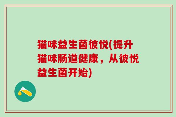 猫咪益生菌彼悦(提升猫咪肠道健康，从彼悦益生菌开始)