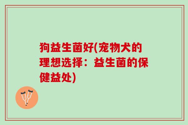 狗益生菌好(宠物犬的理想选择：益生菌的保健益处)