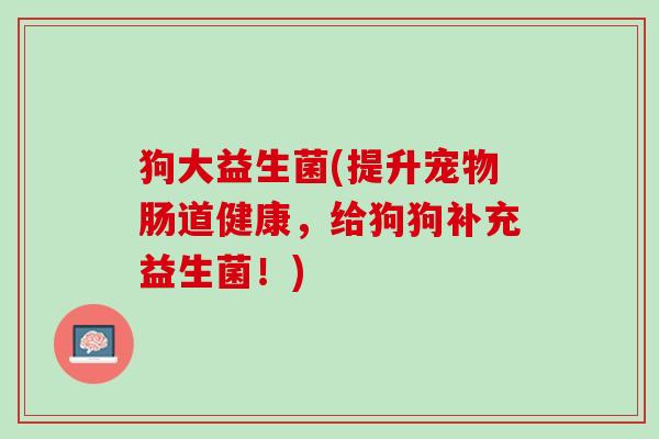 狗大益生菌(提升宠物肠道健康，给狗狗补充益生菌！)