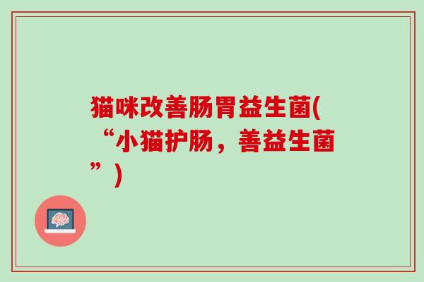 猫咪改善肠胃益生菌(“小猫护肠，善益生菌”)