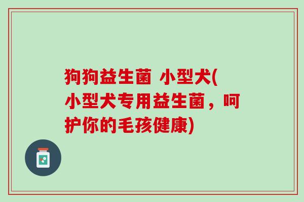 狗狗益生菌 小型犬(小型犬专用益生菌，呵护你的毛孩健康)