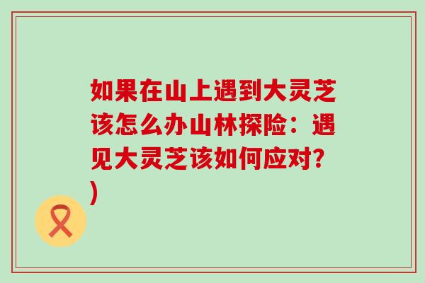 如果在山上遇到大灵芝该怎么办山林探险:遇见大灵芝该如何应对?) 如果在山上遇到大灵芝该怎么办山林探险:遇见大灵芝该如何应对?)