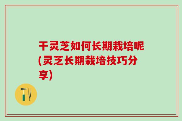 干灵芝如何长期栽培呢(灵芝长期栽培技巧分享)