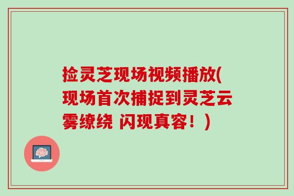 捡灵芝现场视频播放(现场首次捕捉到灵芝云雾缭绕 闪现真容！)