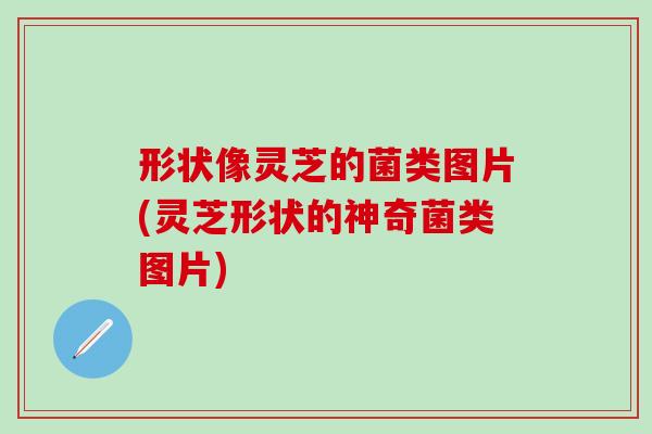 形状像灵芝的菌类图片(灵芝形状的神奇菌类图片)