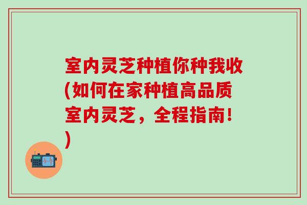 室内灵芝种植你种我收(如何在家种植高品质室内灵芝，全程指南！)