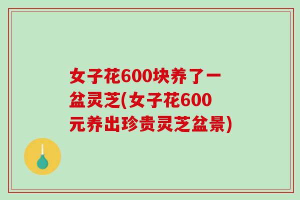 女子花600块养了一盆灵芝(女子花600元养出珍贵灵芝盆景)