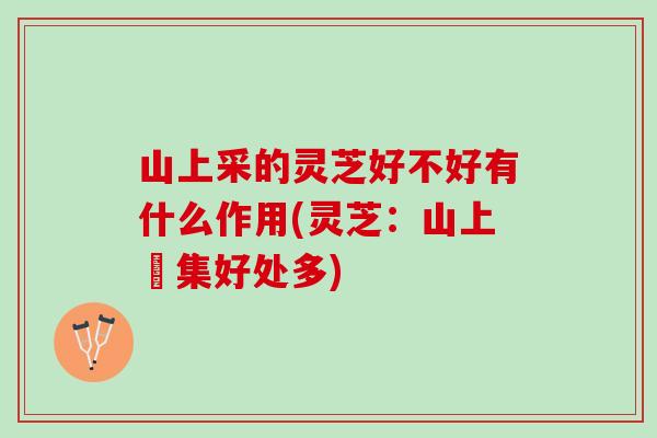 山上采的灵芝好不好有什么作用(灵芝：山上採集好处多)