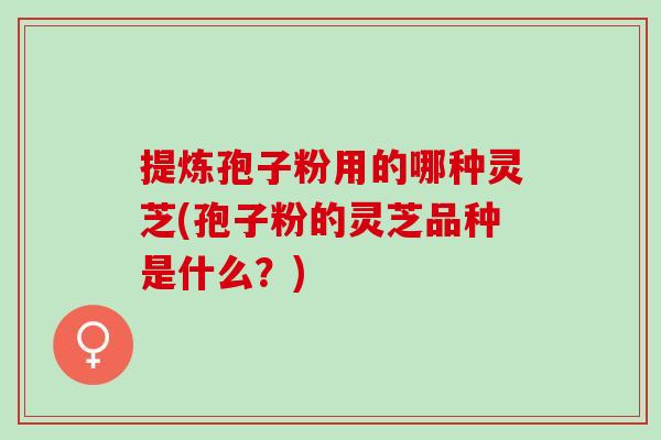 提炼孢子粉用的哪种灵芝(孢子粉的灵芝品种是什么？)