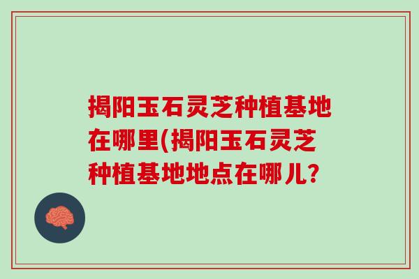 揭阳玉石灵芝种植基地在哪里(揭阳玉石灵芝种植基地地点在哪儿？