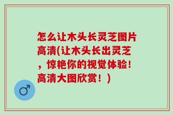 怎么让木头长灵芝图片高清(让木头长出灵芝，惊艳你的视觉体验！高清大图欣赏！)