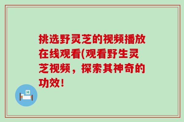挑选野灵芝的视频播放在线观看(观看野生灵芝视频，探索其神奇的功效！