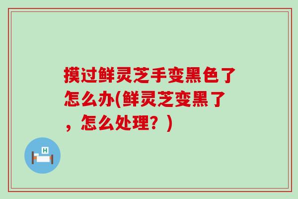 摸过鲜灵芝手变黑色了怎么办(鲜灵芝变黑了，怎么处理？)