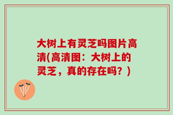 大树上有灵芝吗图片高清(高清图：大树上的灵芝，真的存在吗？)
