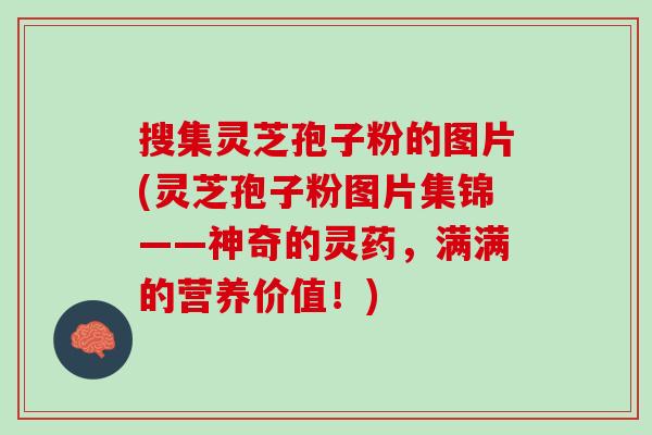 搜集灵芝孢子粉的图片(灵芝孢子粉图片集锦——神奇的灵药，满满的营养价值！)